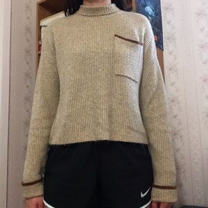 American Eagle Cropped Sweater